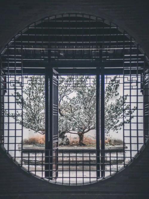 2026年MXD外挂防封实测，透视自瞄功能到底稳不稳？