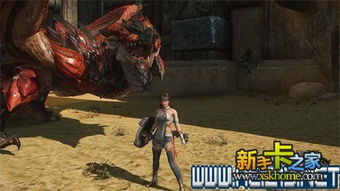 怪物猎人龙种分类大全，古龙与飞龙种的区别及狩猎技巧