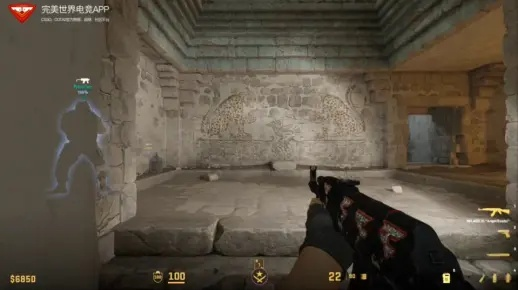 CS2宠物小鸡功能开发中，玩家期待互动养成