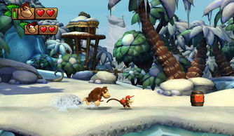 大金刚国度，热带寒流双冠热销，经典重温正当时