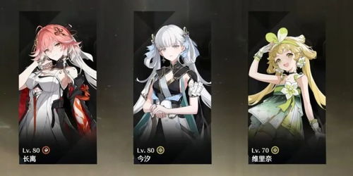 《鸣潮》维里奈养成攻略：高效提升技巧揭秘