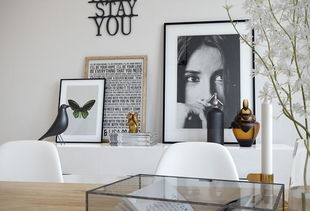 动森布鲁斯特豪宁隐藏福利，解锁装修与咖啡豆种植实战指南