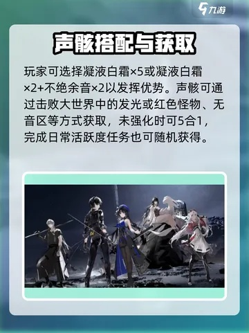 《鸣潮》凌阳声骸培养攻略：打造强力一图流配队