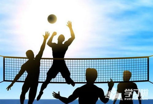 沙滩排球3乳液怎么下载？揭秘正版与整合版核心差异