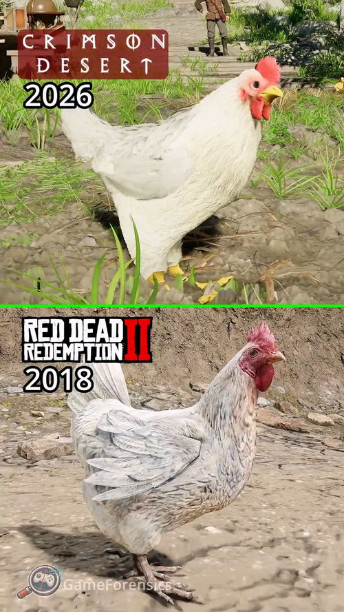 红色沙漠大镖客2小鸡对比，R星又靠细节赢麻了