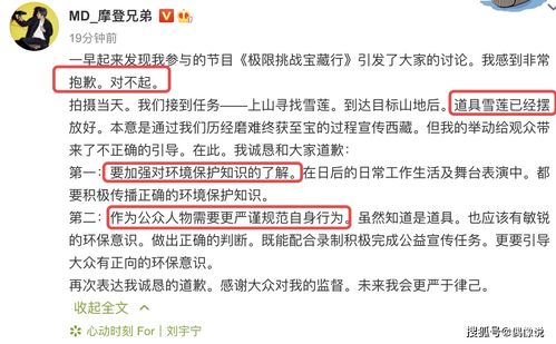 LISAThePainful疼痛模式困难难度挑战，极限操作实况揭秘