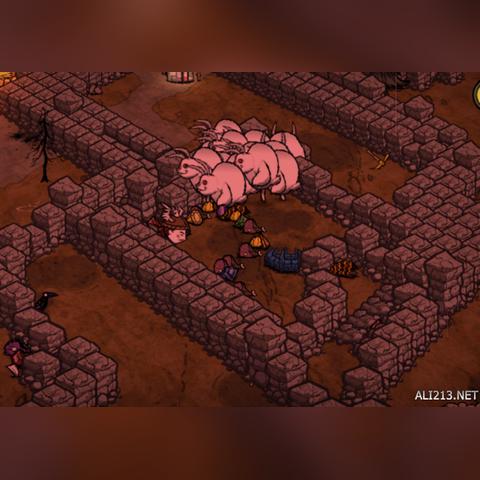 掌握饥荒夏季蜻蜓龙BOSS高效打法，这份攻略你不能错过！