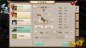 问道2026全职业加点攻略，从平民到大佬的属性分配秘籍