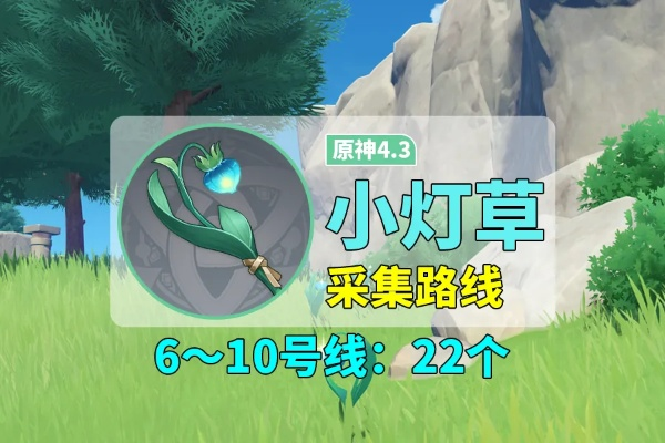 《原神》4.5版本小灯草高效采集攻略，快速升级必备！