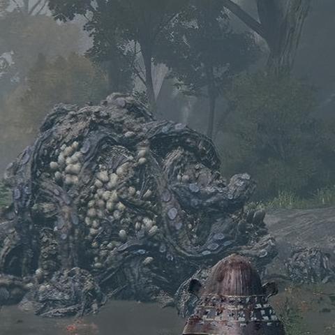 艾尔登法环1.10版处决流武器怎么选？实测推荐全在这