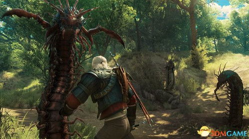 巫师3史凯力怎么玩？全地图寻宝与昆特牌流派实战指南