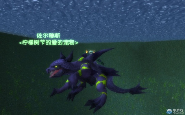 2026魔兽世界稀有宠物图鉴，灵魂兽与幽灵蟹终极获取攻略