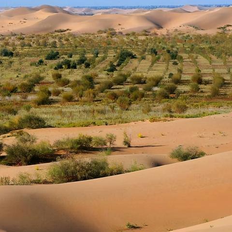 红色沙漠玩家发现新细节，剑加太阳能随地烤肉