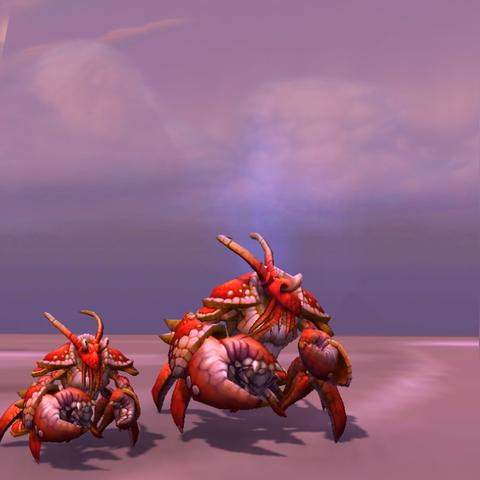 WoW钓鱼大赛必胜指南，暴雪城与诺森德极速夺冠路线详解