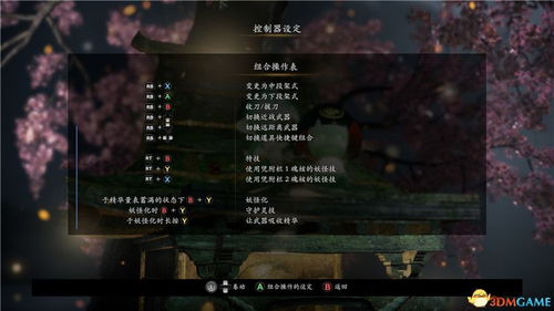 仁王3DM版黑屏闪退怎么办？完美汉化与存档教程