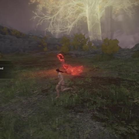 艾尔登法环不推荐武器清单，新手避坑指南