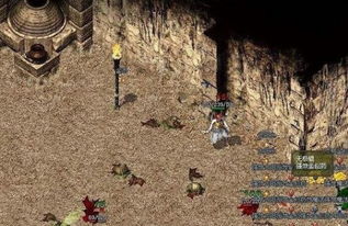 2026年热血传奇英雄合击SF深度测评，最强职业的隐藏连招