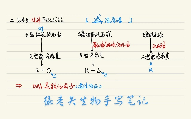 91岁杨老头无攻略通生化9 手写通关笔记海外走红