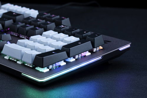 F1 2025D加密保护遭DenuvOwO攻破 玩家能畅玩？