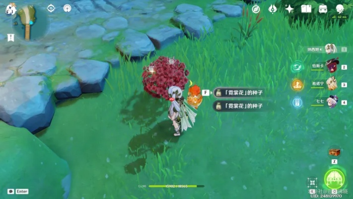 原神霓裳花全分布图，甘雨瑶瑶必备材料的高效获取秘籍