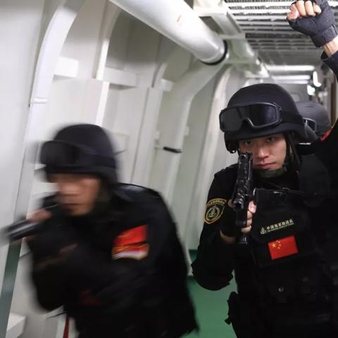 拒绝废号！海盗武器成长树最优解与实战搭配