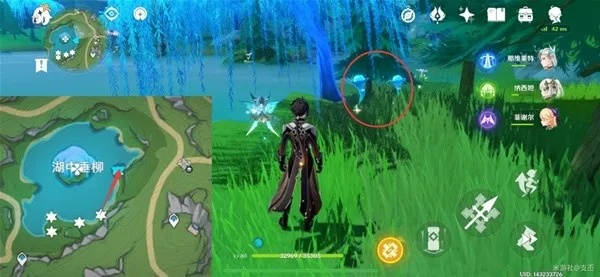 《原神》4.2湖光铃兰速刷攻略：高效采集路线曝光