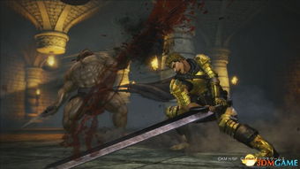 《剑风传奇无双》DLC截图曝光！明年2月21日震撼发售！