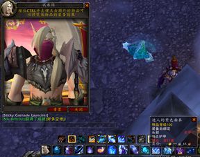 2026盗贼幻化天花板，绝版暗影刺客与忍者风皮甲搭配