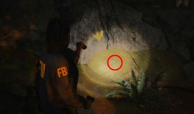 《心灵杀手2》女巫之勺营地保险箱解锁攻略揭秘