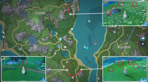 《原神》4.1寻景觅画第二日：揭秘隐藏景物位置大揭秘