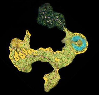 Miasmata生存指南，如何手动测绘地图与对抗怪物？