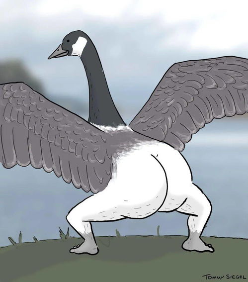 鹅鸭杀全职业进阶指南，从呆呆鸟到秃鹫的顶级博弈术