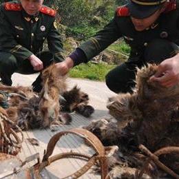 《收容秘密档案》全剧情攻略：隐藏线索揭秘！