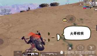 红色沙漠玩家实测，树竟能一击秒杀Boss