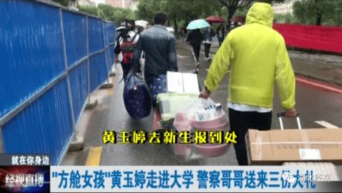 还在桃花坞翻车？这份保姆级跑法攻略让你轻松拿第一