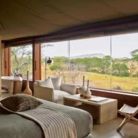 快速查找星空全书籍杂志位置，这份实用指南别错过！