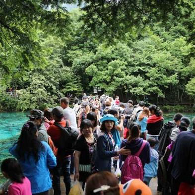 仙境传说奥德赛全职业强度榜及开荒避坑实战攻略