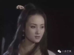 蒋勤勤虐猫风波深度解析，古装剧特效伦理与观众心理战