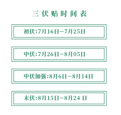 卡关？三伏全攻略，高效通关实用指南
