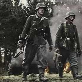 揭秘自杀联盟类型，掌握高风险战术的破局之道