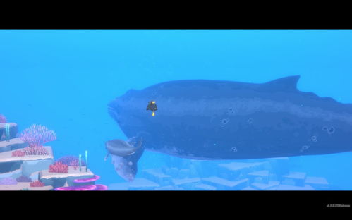 《戴夫潜水探秘：大西洋鲣鱼捕获秘境大公开》