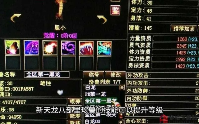 天龙八部宝宝打书全攻略，打造PVP神宠的技能搭配与避坑指南