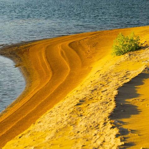 玩家热议红色沙漠，美女角色身材丰腴火辣引关注