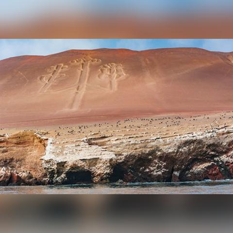 红色沙漠玩家惋惜，女主潜力遭闲置 多主角形同摆设