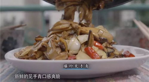 云南猴子生吃见手青？揭秘致幻机制与生啃实战攻略