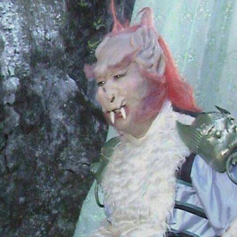 梦幻朱紫国剧情怎么过？全流程坐标与赛太岁单刷技巧大公开