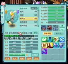 神武宠物大全类型深度剖析，如何打造T0级杀人宠与耐法宠？