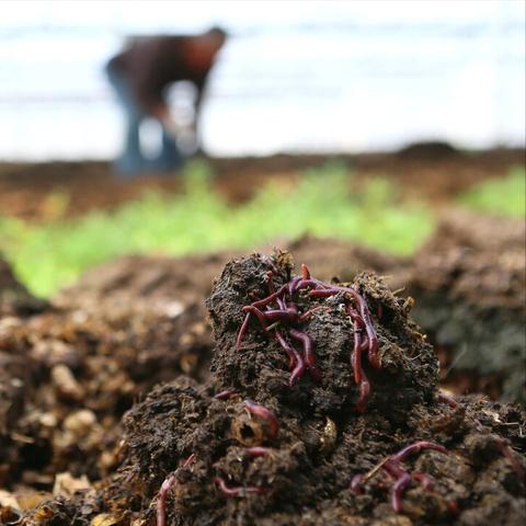 《红色沙漠》总收入突破2亿美元 PS5版贡献近半