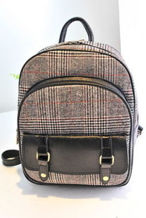 红色沙漠背包难题，240格扩容仍难满足