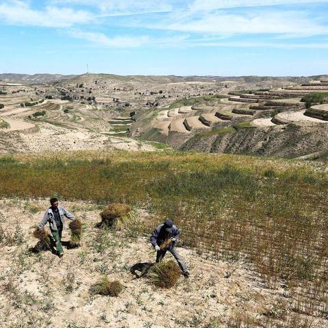 玩家发现可派遣NPC完成任务图片